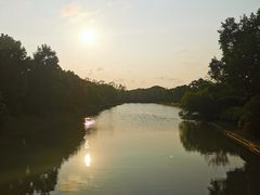 -上海海湾国家森林公园