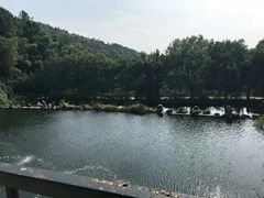 -九龙潭景区