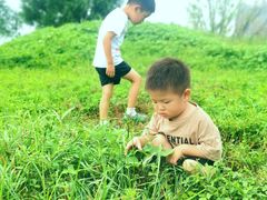 -观澜小洱海