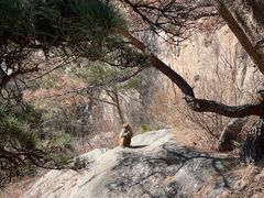 -崂山仰口游览区