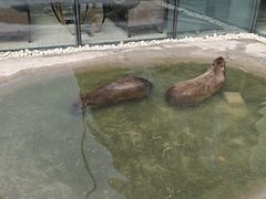 -廊坊固安福朋喜来登酒店