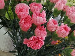 -亭亭鲜花店(中山北路店)