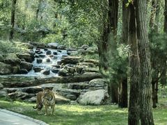 -北京野生动物园