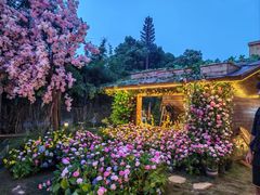 -HERRE·FARM 赫尔露营农场·团建聚会包场