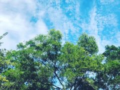 -玫瑰海岸文化旅游度假区