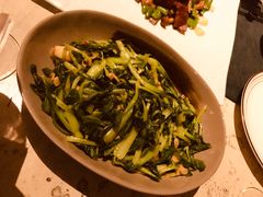 鸡毛菜-T館·花园艺术餐厅