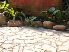 -广州市流溪河国家森林公园