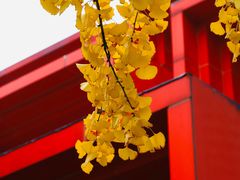 -重庆国泰艺术中心