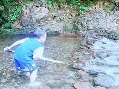 -龙苍沟森林公园