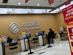 -中国移动(高升桥营业厅)