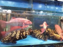 水产区-京深海鲜市场(光彩路店)