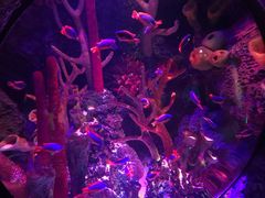 -沈阳海洋探索中心