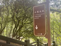 -白马涧龙池景区