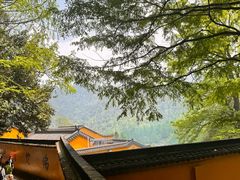 -九华山风景区