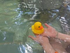 -湖泉半山温泉