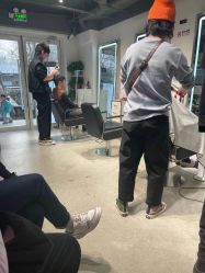 -Will+ Hair Studio