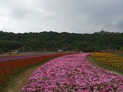 -清溪大王山森林公园