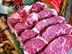 -佟爷·老北京炙子烤肉(动物园店)