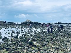 -养马岛旅游度假区