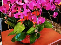 -中国工商银行(北京九龙山支行)