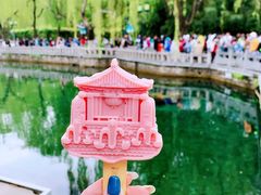 -趵突泉景区