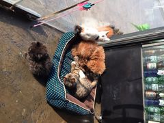 iphone_upload_pic-赢吧Bliss音乐酒吧
