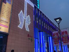 -鹏欣水游城