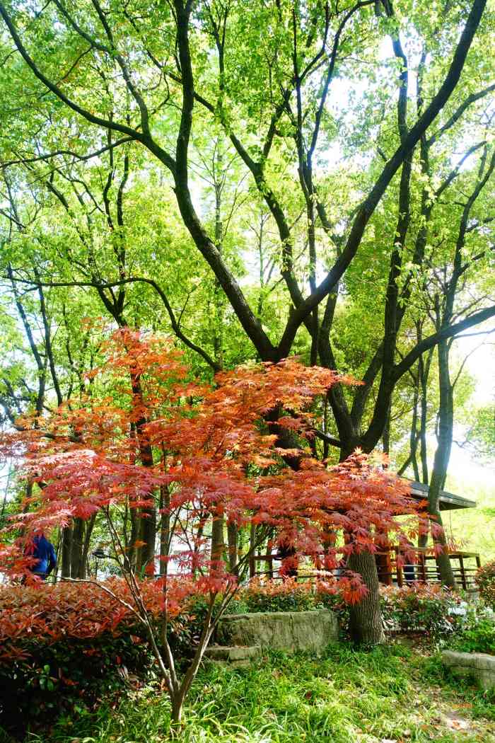 泾东公园-"[糖果][糖果]位置: 泾东公园位于浦东."-大众点评移动版