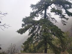 -秦岭终南山世界地质公园翠华山景区