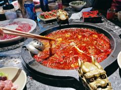 -蜀大侠火锅(建设路第五大道店)