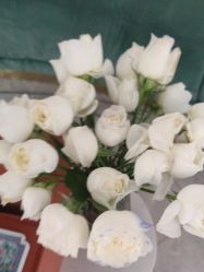 -雅曼妮spa美容养生