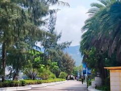 -巽寮印象美食部落餐厅·海鲜·地方特色菜(惠州体验店)