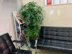 -痘博士广州·全国连锁祛痘机构