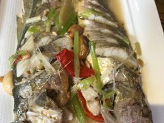 -李记潮汕砂锅粥(营福路店)