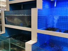 水产区-元银甲·湖北地标美食(汉阳店)