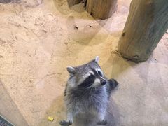 -正佳雨林生态植物园