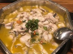 -七裕庄(凯旋南路店)