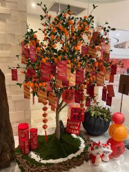 -丽妍雅集 Rubis SPA