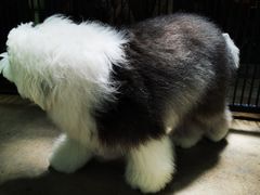 -TrueLove @ Neverland (Husky Cafe)