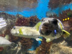 -福州罗源湾海洋世界旅游区