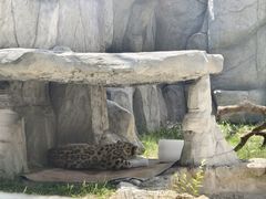 -青藏高原野生动物园
