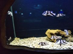 -石家庄市动物园