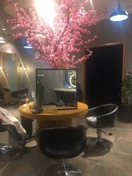 -时尚殿堂明星门店
