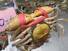 -都斛海鲜街