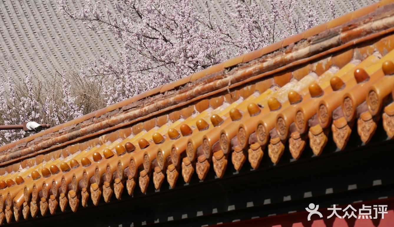 哈尔滨文庙