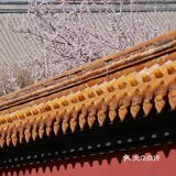 哈尔滨文庙