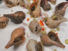 -铂米星座(瑞安店)
