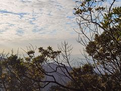 -阳台山森林公园