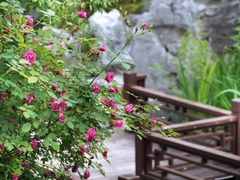 -南京民俗博物馆(甘熙故居)