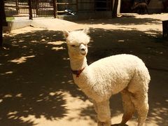 iphone_upload_pic-西安秦岭野生动物园